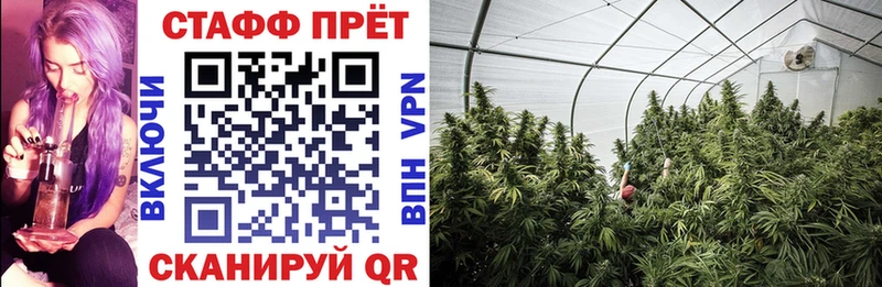Купить закладку Гашиш  Alpha-PVP  Меф мяу мяу  МЕТАМФЕТАМИН  Кокаин  КЕТАМИН  АМФ  Владикавказ