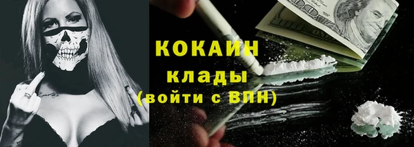 спайс Гусев