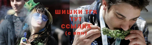 спайс Гусев