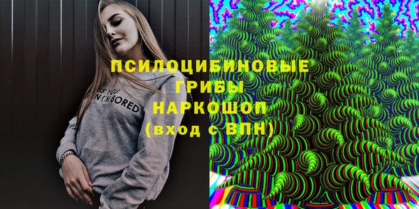 спайс Гусев