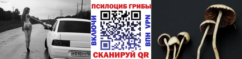 Псилоцибиновые грибы GOLDEN TEACHER  Купить  Владикавказ 