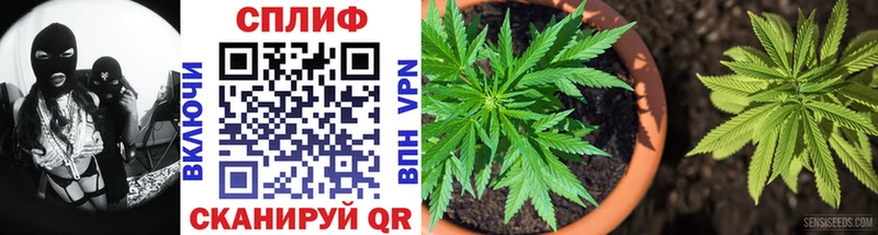 Купить  Владикавказ  Бошки Шишки VHQ 